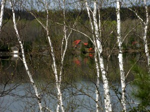 cottage-409_sm