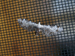 cottage-415_sm1
