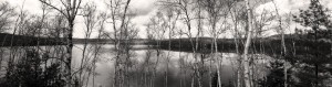 cottage_pan_bw_sm04