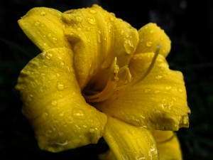 img_3111_sm