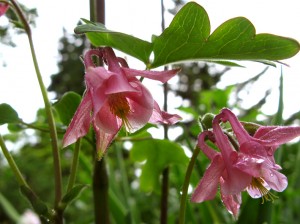 img_3120_sm