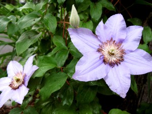 img_3157_sm