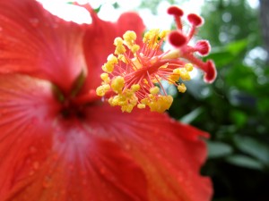 img_3201_sm