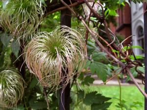 img_3260_sm