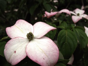 img_3263_sm