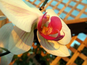 img_3312_sm