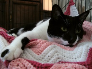 img_3405_sm1