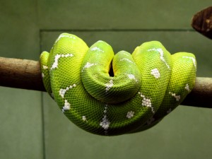 python03