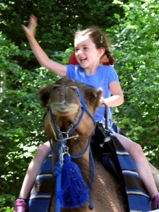 sophie_camel02