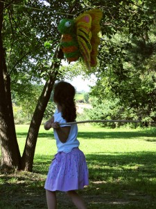 pinata08