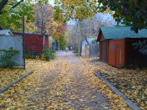 autumnalley