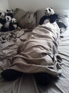 loooooongpanda