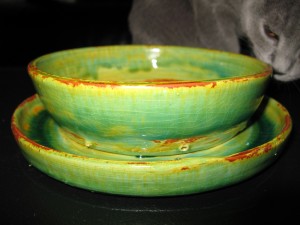 catgrass02