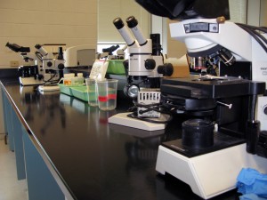 microscopes