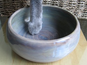 bowl_chocstarazure01