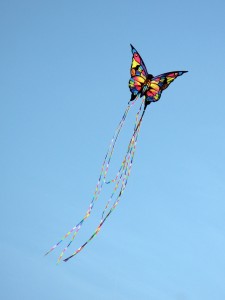 butterfly_kite