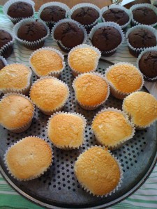cupcakes02