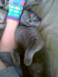 jammie_shavedtummy01