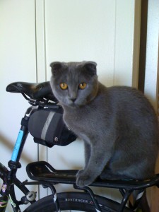 jammiebiker