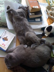 desknuggle04