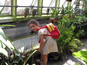 greenhouse02